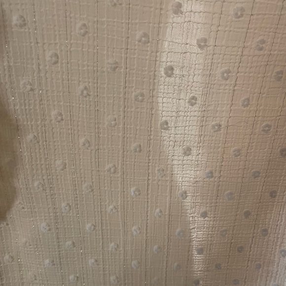 Zara Crème Ruffle Textured Button Down Blouse Size Medium - Picture 6 of 12